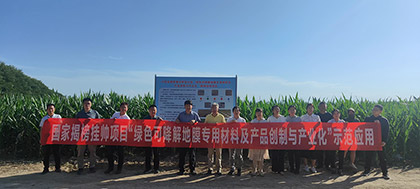 国度揭榜挂帅项目-生物降解地膜示范